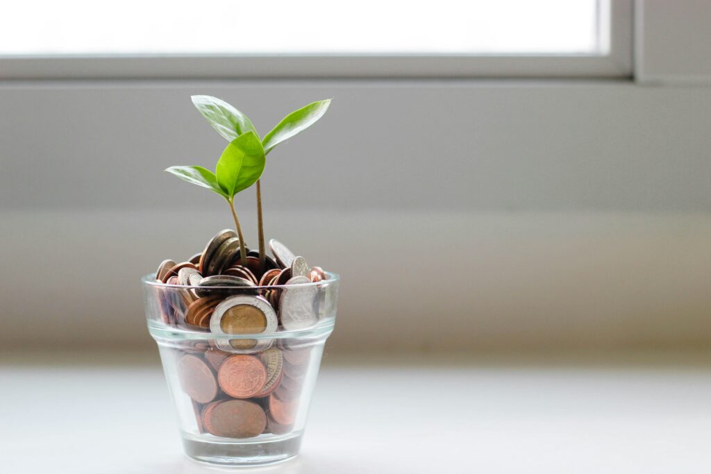 Digital Fortune Lab - planting a money tree